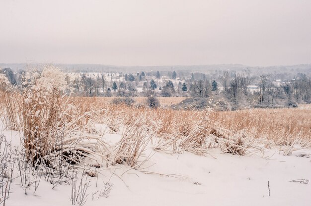 Bello scatto del meraviglioso scenario della campagna innevata in Pennsylvania