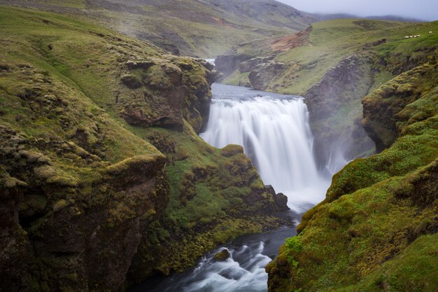 Bello scatto di una cascata che scende a cascata dalle montagne verdi in Islanda