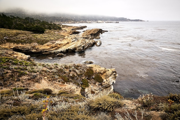 Bello scatto di una riva della riserva naturale statale di Point Lobos, California, USA