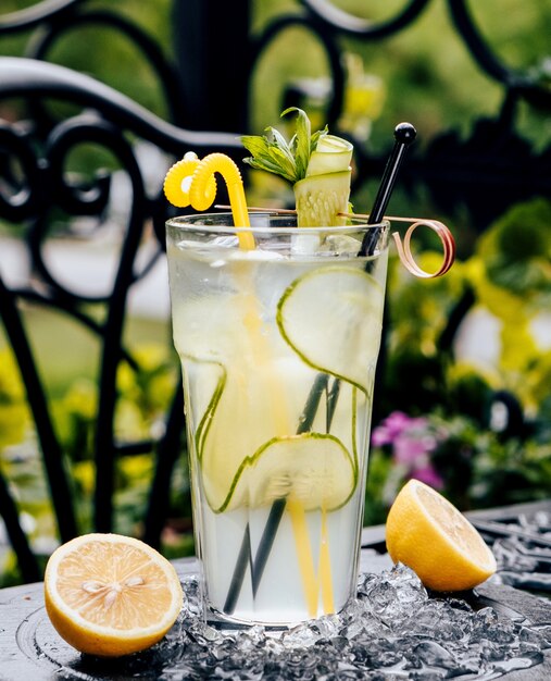 Bevanda gassata con limone e dragoncello