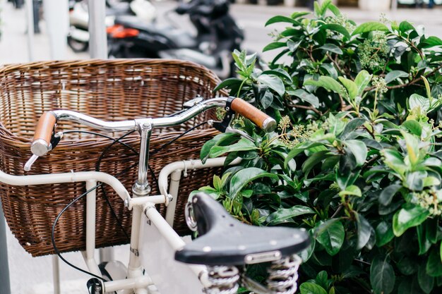 Bicicletta con cestino accanto a un cespuglio