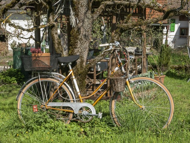 Bicicletta parcheggiata nel verde giardino accanto a un albero