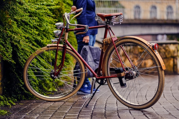 Bicicletta retrò in un parco.