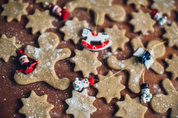 Biscotti di zenzero decorazione natalizia
