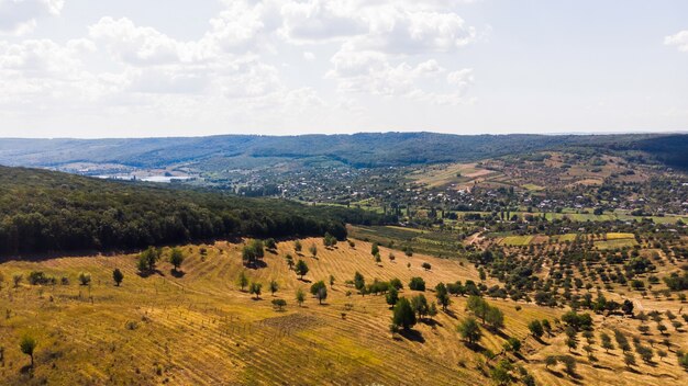 Borgo situato in pianura, alberato raro e bosco in primo piano con colline