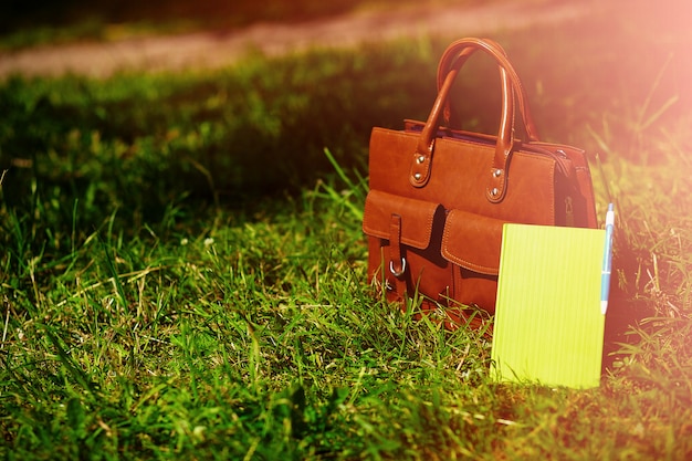 Borsa e taccuino di cuoio retro marrone dell'uomo nell'erba variopinta luminosa di estate nel parco