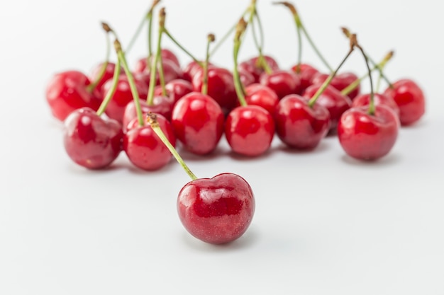 Botanica a base di oggetti a foglia rossa