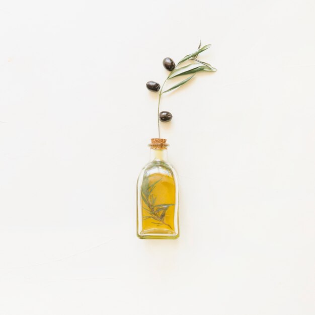 Bottiglia di olio con ramoscello d&#39;ulivo