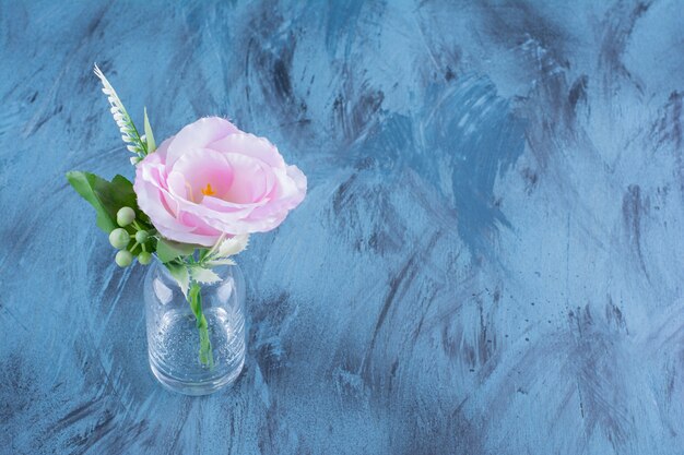 Bottiglia di vetro di singolo fiore rosa con foglie su blu.