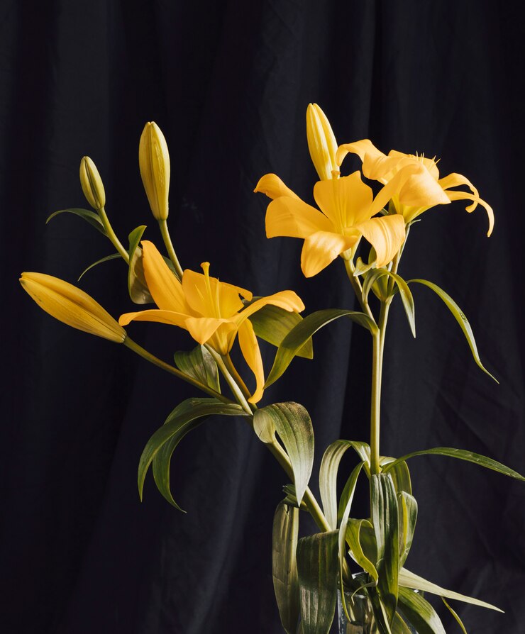 Foto gratuito bouquet di fiori gialli nelle tenebre