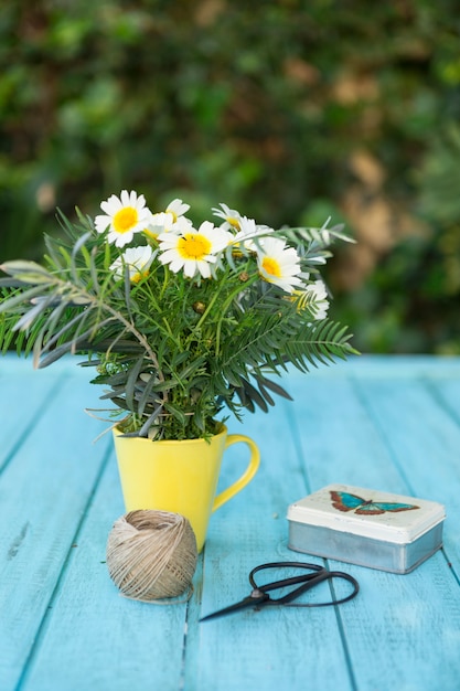 Bouquet di margherite accanto a una scatola e forbici