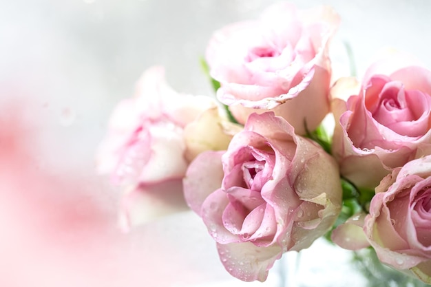 Bouquet di rose rosa con spazio libero per lo spazio della copia del testo