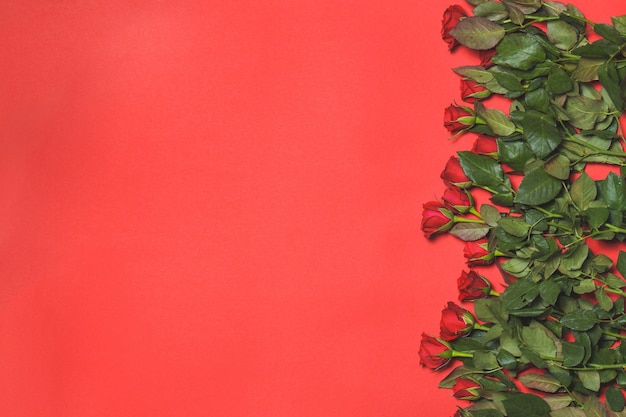 Bouquet di rose su fondo rosso