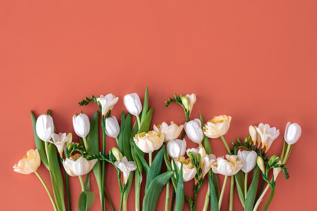 Bouquet di tulipani bianchi su sfondo rosso piatto lay