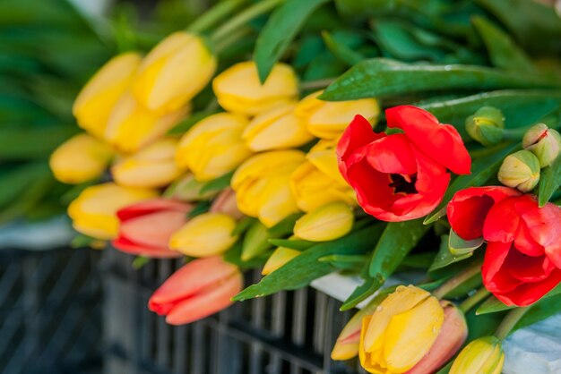 Bouquet di tulipani davanti alla scena di primavera. Mazzi di tulipani in vendita