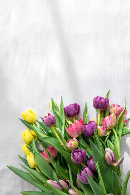 Bouquet di tulipani su sfondo bianco vista dall'alto