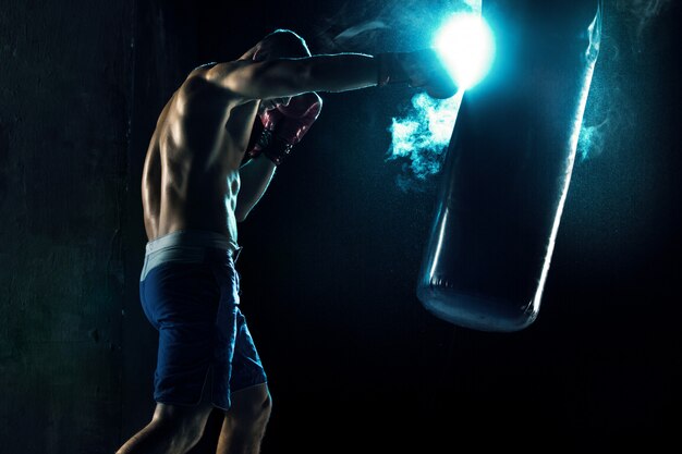 Boxer maschio nel sacco da boxe