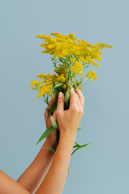 Braccia della donna che tengono fiori gialli