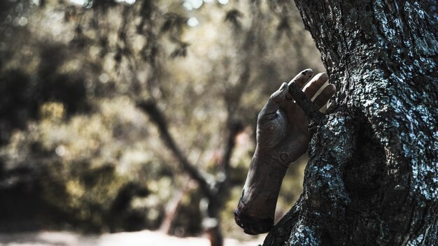 Braccio delle zombie che appende sull&#39;albero in foresta piena di sole