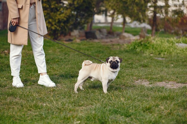 Bruna in un cappotto marrone cammina con pug