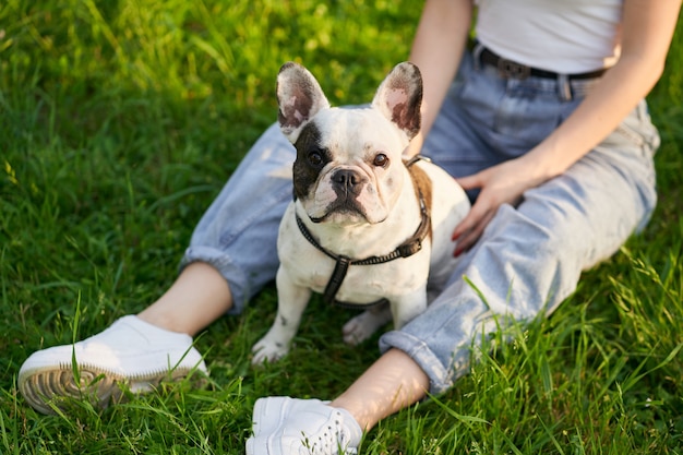 Bulldog francese che si diverte con il proprietario nel parco