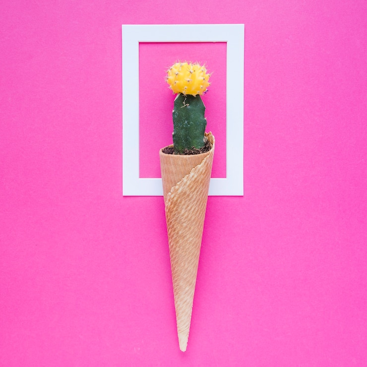 Foto gratuito cactus adorabile nel cono sul telaio