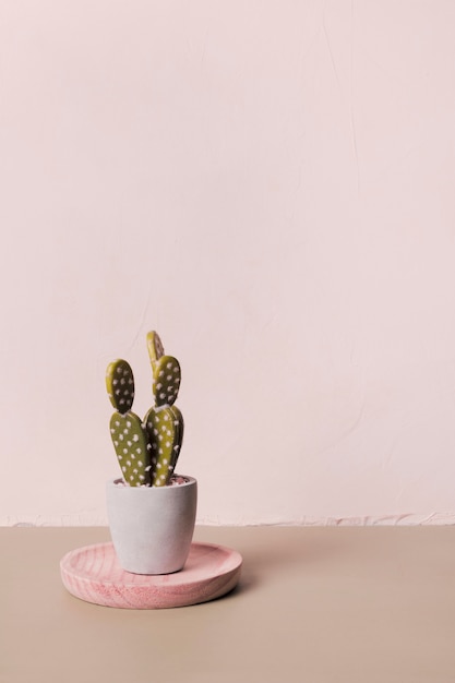 Cactus decorativo all&#39;interno di vaso minimale