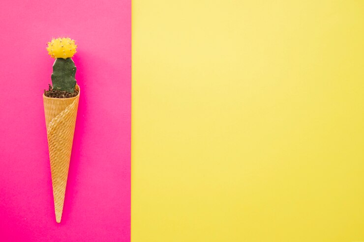 Foto gratuito cactus nel cono della cialda