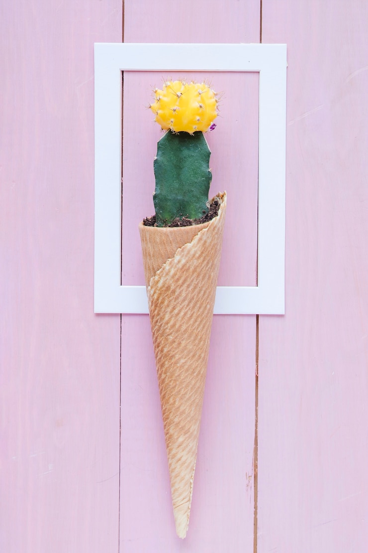 Foto gratuito cactus nel cono sul telaio
