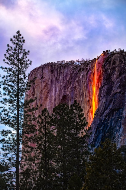 Caduta dell'equiseto nel parco nazionale di Yosemite