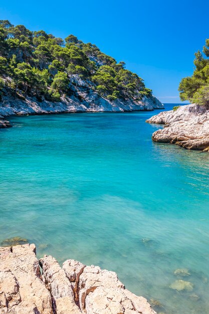 Calanques of Port Pin a Cassis, vicino a Marsiglia, Francia