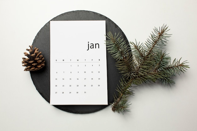 Calendario di gennaio piatto e ramoscelli