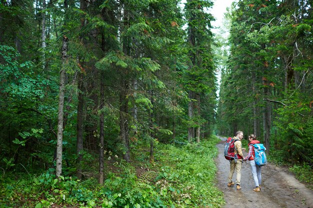 Camminare nella foresta