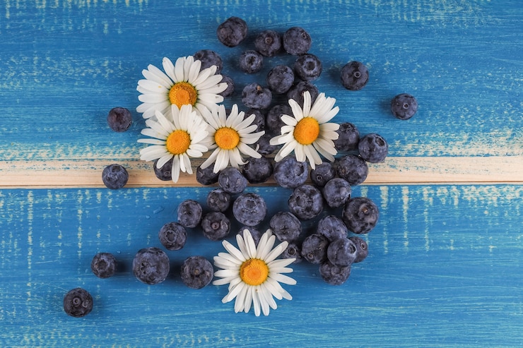 Foto gratuito camomille su fragole