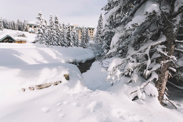 Campagna innevata in inverno