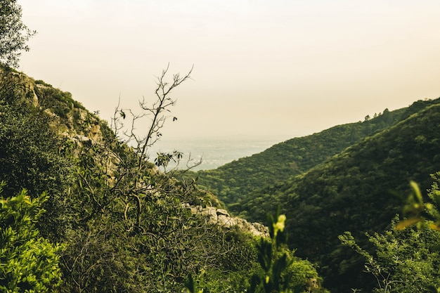 Campagna sfondo tempo terra collina orizzonte