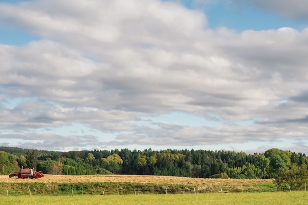 Campo agricolo circondato da alberi verdi sotto un cielo nuvoloso