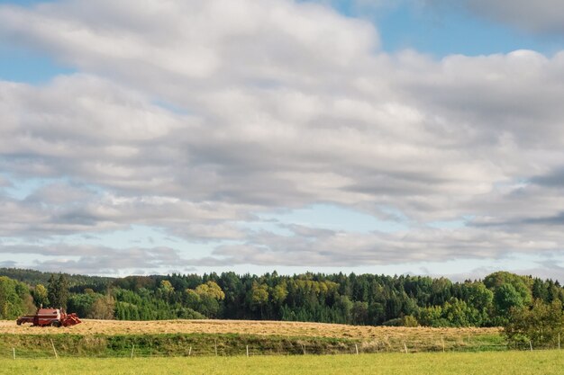 Campo agricolo circondato da alberi verdi sotto un cielo nuvoloso