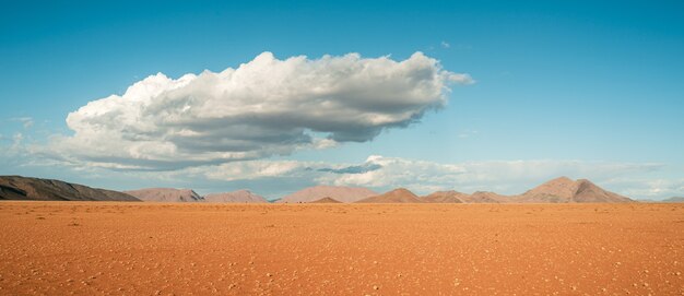 Campo ampio di una splendida vista del deserto del Namib in Africa