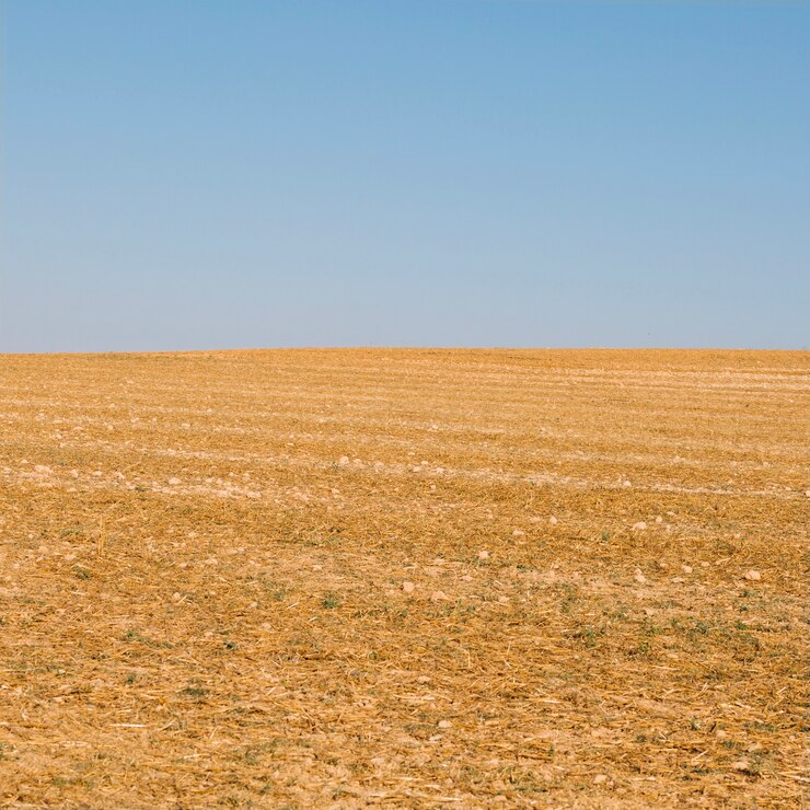 Foto gratuito campo asciutto e cielo blu