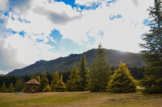 Campo circondato da alte montagne coperte di verdi sotto il cielo nuvoloso