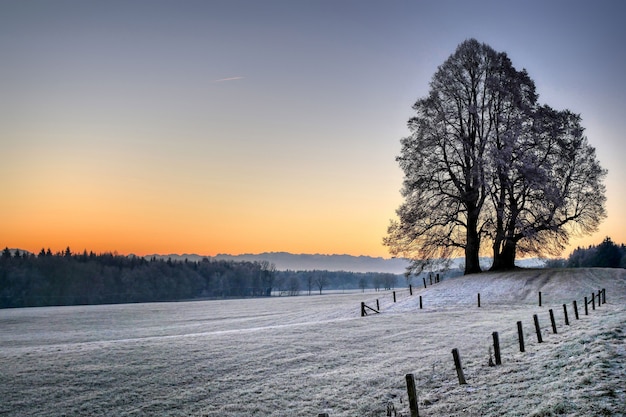 Campo circondato da colline e alberi spogli coperti di neve durante il tramonto in inverno