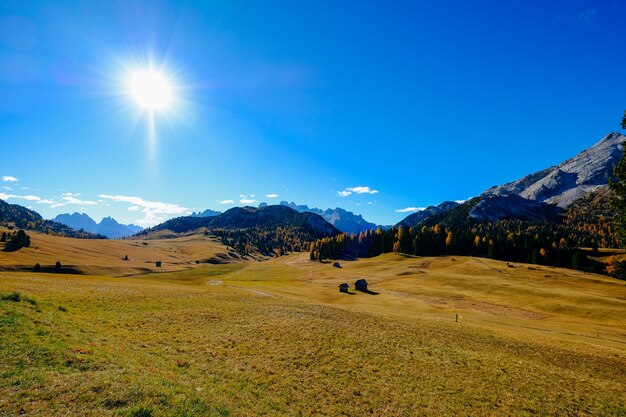 Campo di erba secca con alberi ad alto fusto e una montagna con il sole che splende nel cielo blu