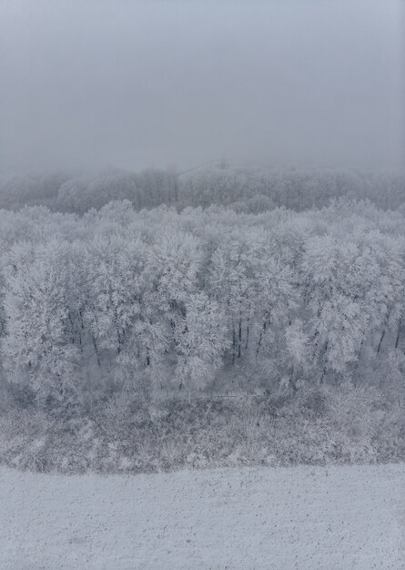 Campo e alberi congelati bianchi in nebbia in inverno, vista aerea dal livello