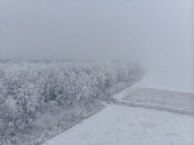 Campo e alberi congelati bianchi in nebbia in inverno, vista aerea dal livello