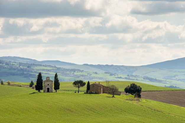 Campo erboso con alberi verdi e una casa in lontananza sotto un cielo nuvoloso