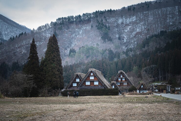 Foto gratuito campo erboso secco con edifici vicino alla montagna a shirakawa japan