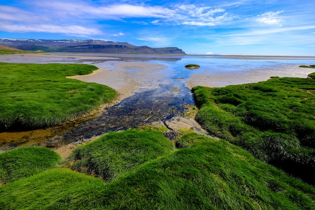 Campo erboso vicino a una spiaggia con le montagne in lontananza durante il giorno