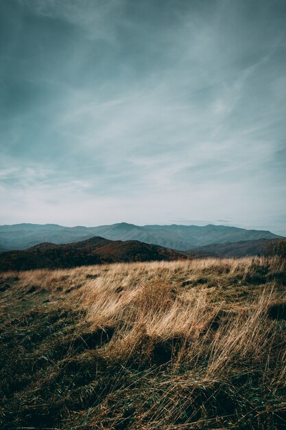 Campo in una giornata nuvolosa