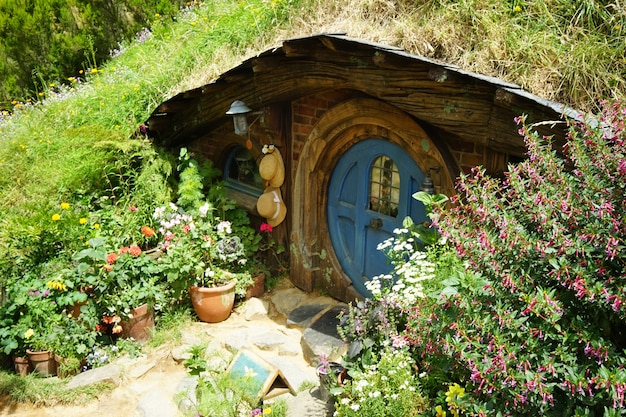 Campo lungo del film Hobbiton ambientato a Matamata in Nuova Zelanda